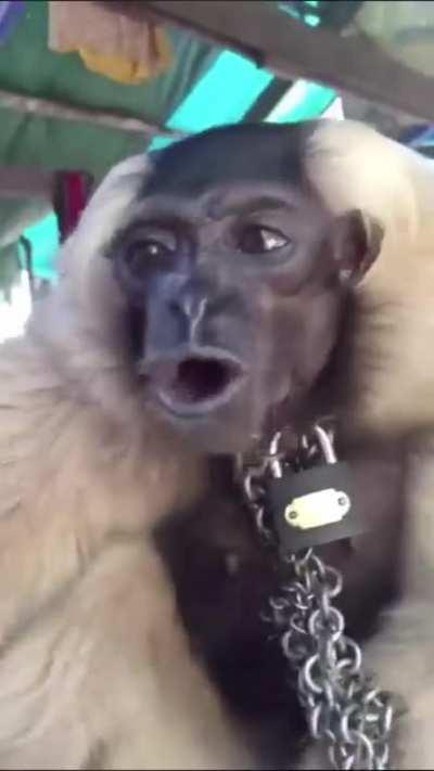 The beginning of Why won&rsquo;t they talk to me be like..