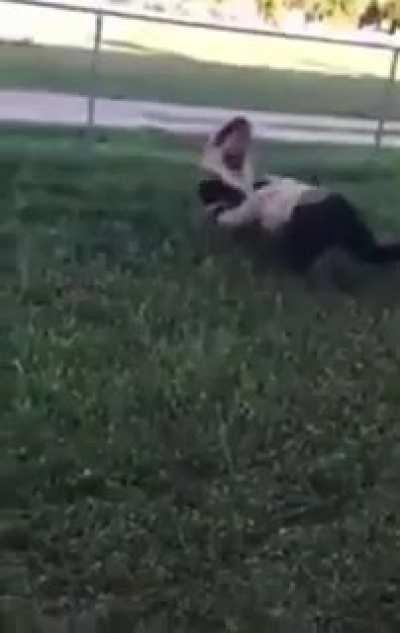 Small Girl Beat Up A Big Girl - 