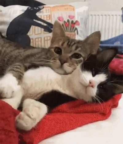 The most tender thing your eyes can see
