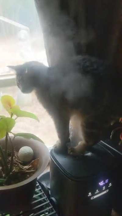 I guess Barnaby must like water, too.