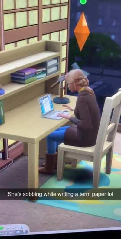 My sim started sobbing while writing a term paper