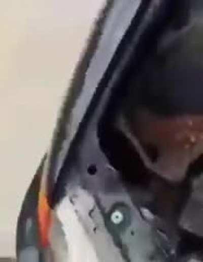 Hardworking squirrel has accumulated a lot of supplies for the winter in an unusual place