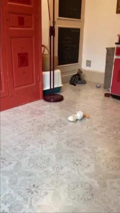 [Exorcism in progress]