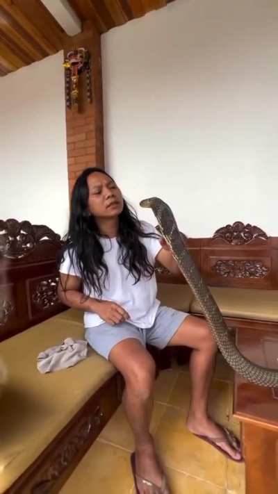 Talking to a big snake 𓆗