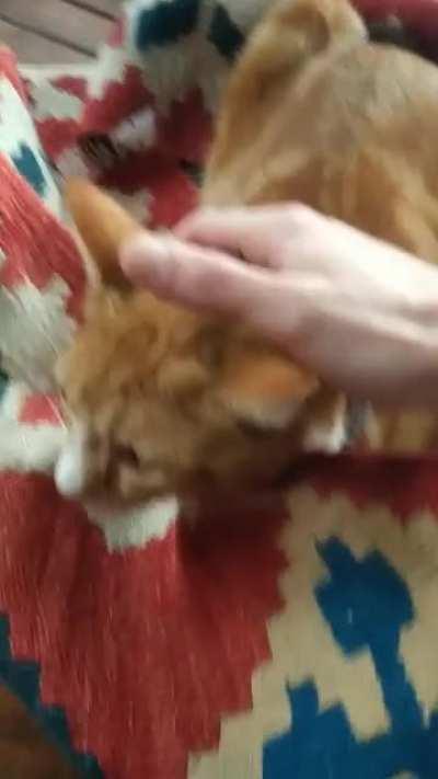 My boys first hailstorm...he wanted to be outside