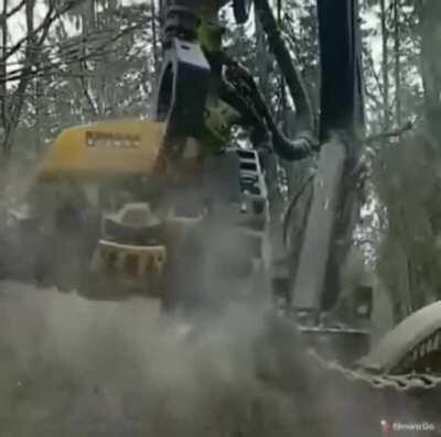 This tree cutting machine walked straight out of sci-fi movie