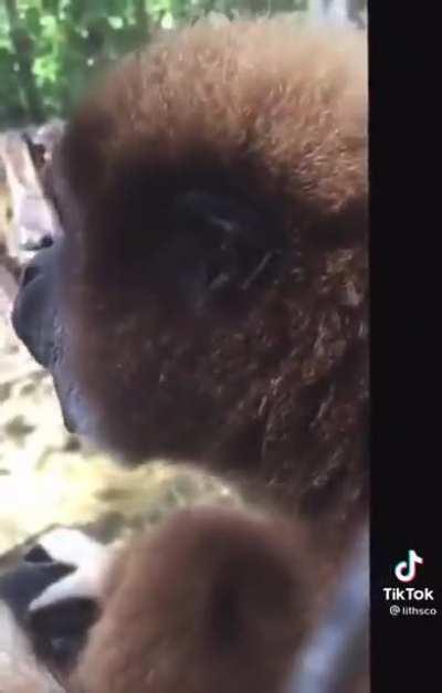 Queens here when a shirtless straight man cosplays a hot male champion.