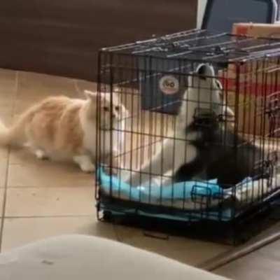 Who’s the jerk here?