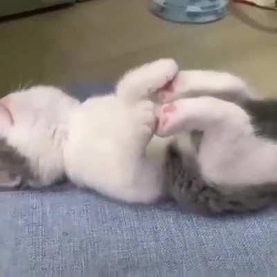 I Do Yoga While Sleeping