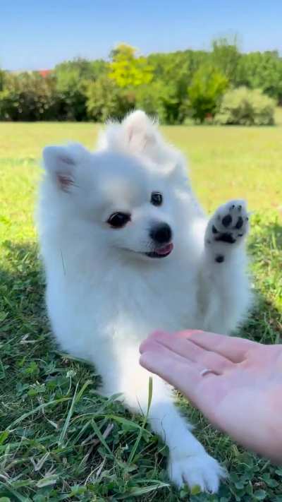 She’s definitely deserved a treat 🥰