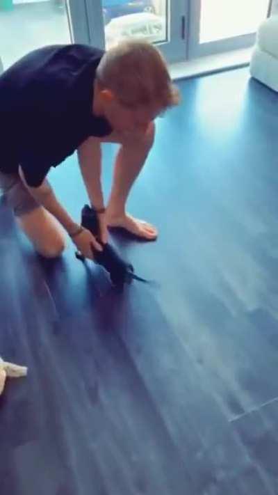 This is our dog’s favourite game’