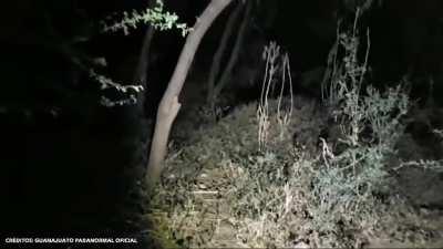 El piedrainador de brujas xd