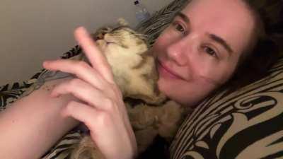 Leia is an A+ cuddle bug.