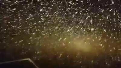 The snowfall from a ship