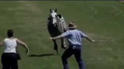 Her dedication is unmatched