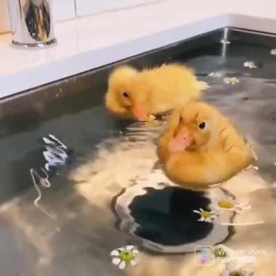 It's bath time!