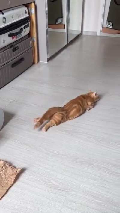 Going....Going.....Nope