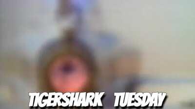 The last hours of Tuesday, I make this.