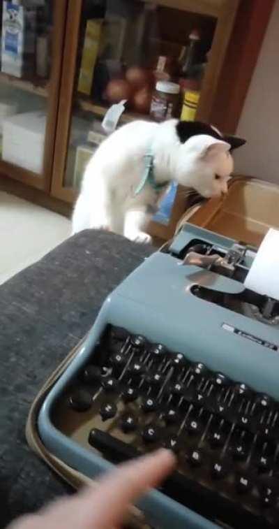 OP bought a typewriter and cat hates it