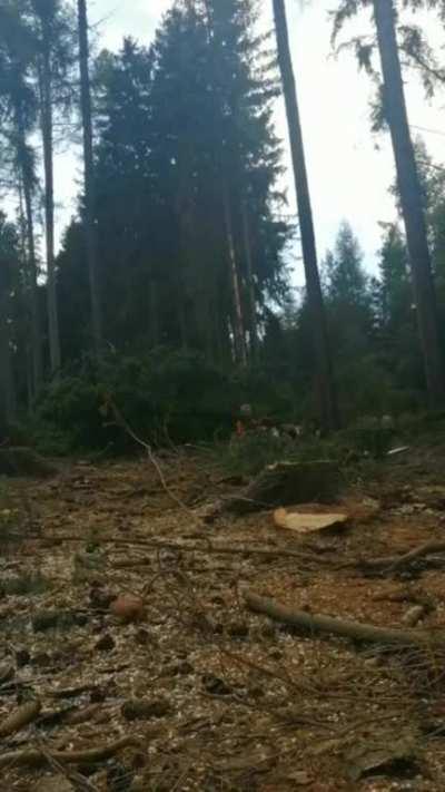 The luckiest Czech in Slovakia