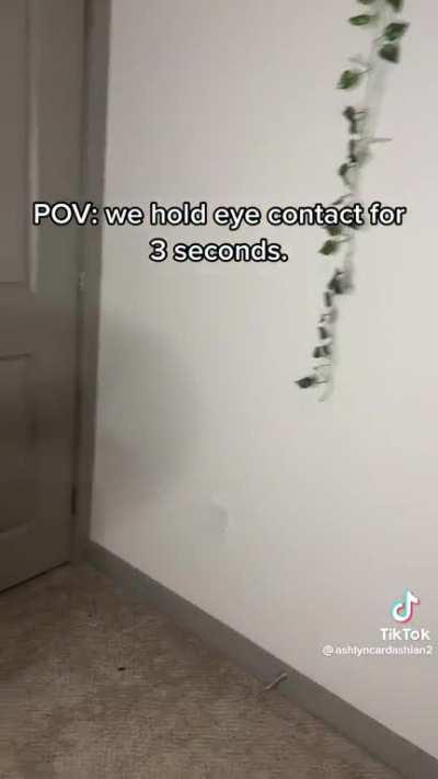 On your knees and get ready to please. @ashlyncardashian2