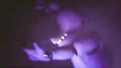 Biografia de tu puta madre