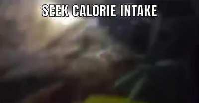 The early game experience