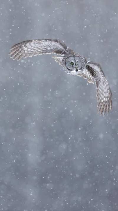 It's that time of year again