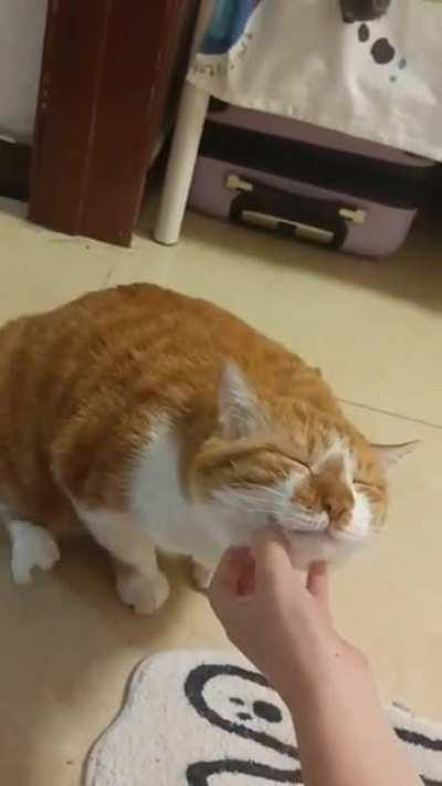 Oh yeah, that's the spot.