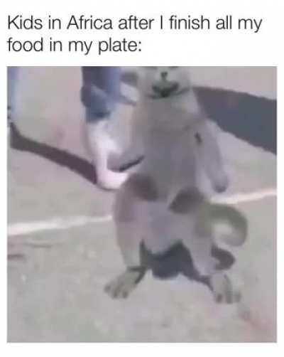 They do be vibing tho