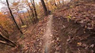 How can somebody ride a bike like this?