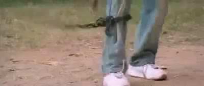 Yaaru stunt master ithuku ?😂