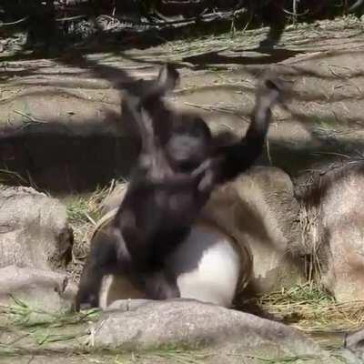 Ooops! Shouldn't have done that