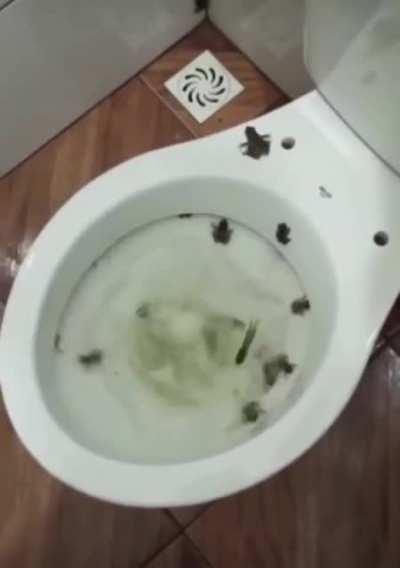 Elim ayağım titredi