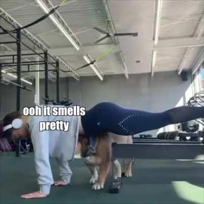 How we doing over here