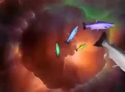 The trip of a lifetime.