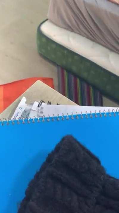 craziest zoomie my bunny has ever done 😂😂