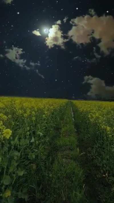 'It's too quiet out here' ahh vibes