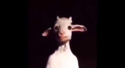 cursed_goatman