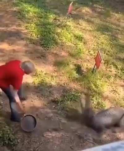 Don't mess with grandpa