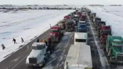 Regular folks are tired of the Clown World and are honking back. 🇨🇦🚛