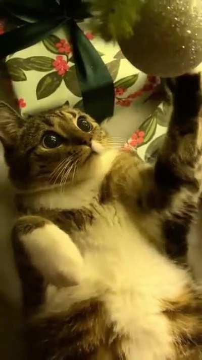 Look at the twinkle in those eyes...