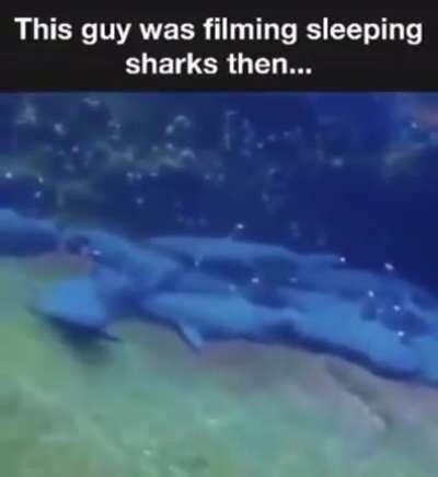 Здесь съёмка запрещена. Камеру вырубай нах..