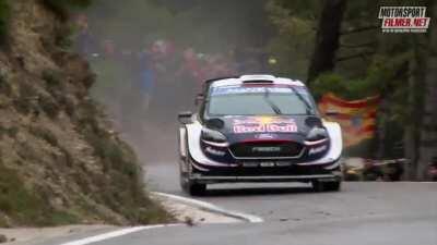 Time for spitfire caw caw