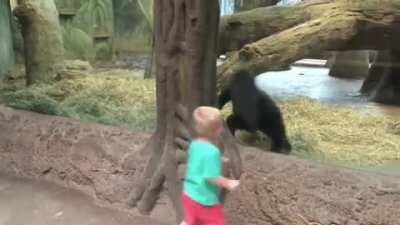 Peekaboo. Playing together