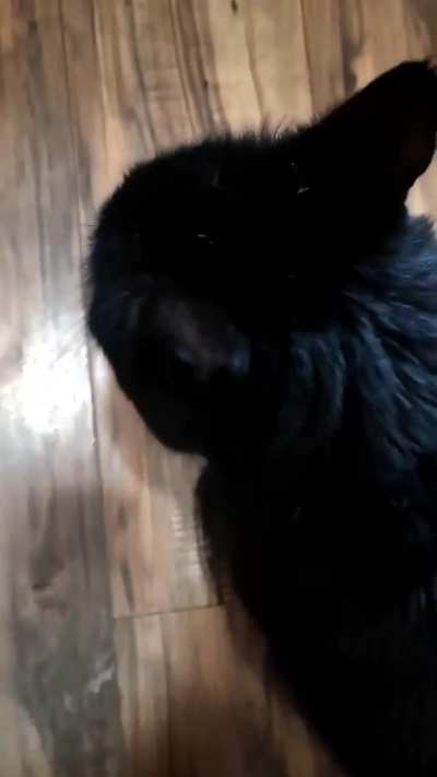 Update: It's confirmed, he actually stole my girl