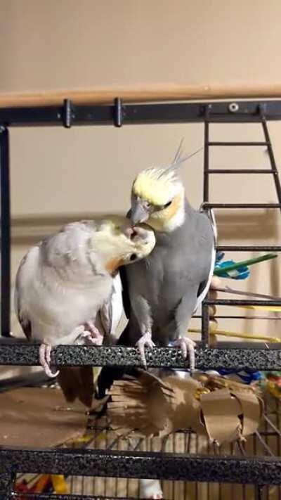 She is absolutely smitten