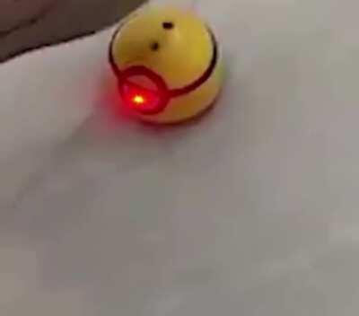 me when r/okbuddyretard moderators try to ban me for using the P word 🤣😋😎👊🏼!!!