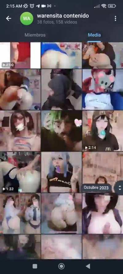 todo el contenido de la warensitaArsmate  
