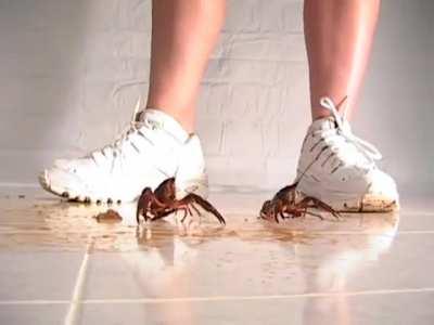 Nothing to the treads of Tammy’s sneakers 